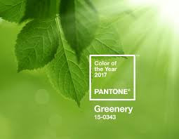 Let's take a look at Pantones colour of 2017 - Greenery.